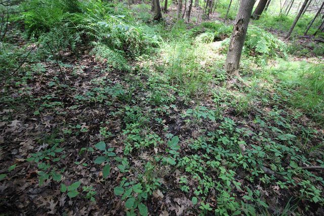 2624 Hartman Road, Traverse City, MI 49685