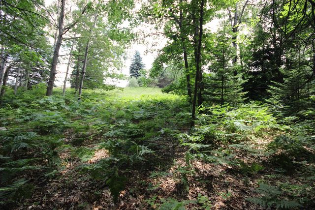 2624 Hartman Road, Traverse City, MI 49685