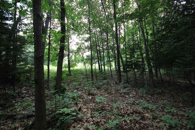 2624 Hartman Road, Traverse City, MI 49685