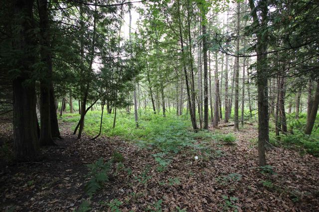 2624 Hartman Road, Traverse City, MI 49685