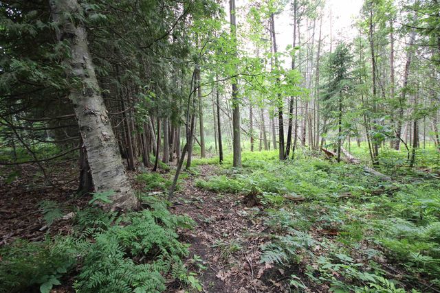 2624 Hartman Road, Traverse City, MI 49685