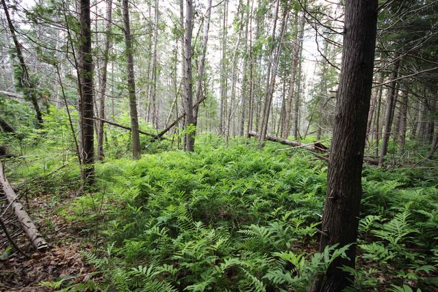 2624 Hartman Road, Traverse City, MI 49685