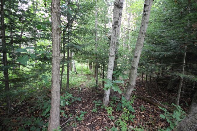 2624 Hartman Road, Traverse City, MI 49685