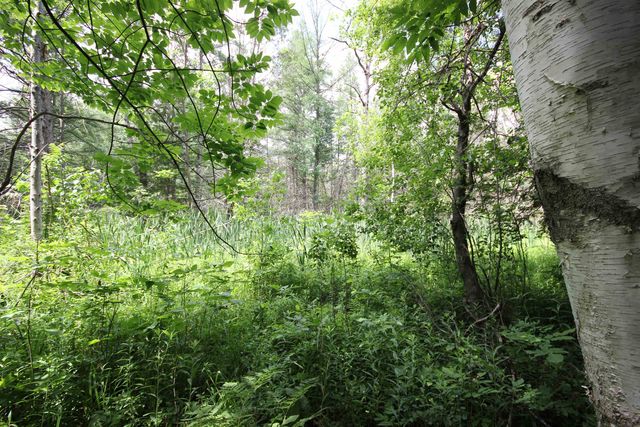 2624 Hartman Road, Traverse City, MI 49685