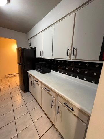 9717 S Keeler Avenue 110, Oak Lawn, IL 60453