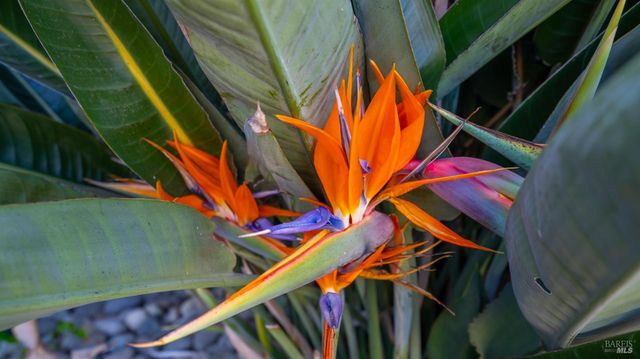 191 Bel Air Dr, Vacaville, CA 95687