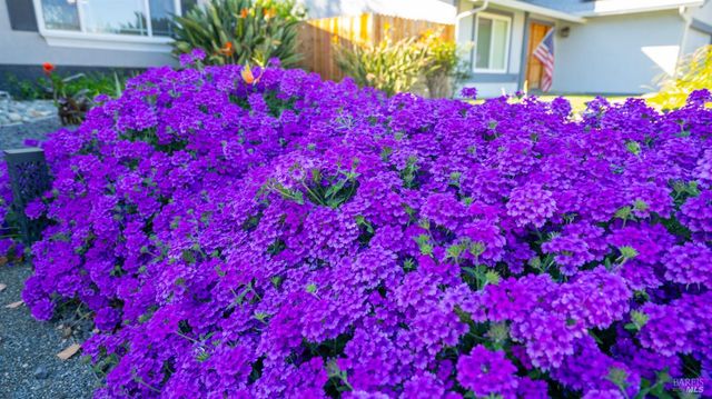 191 Bel Air Dr, Vacaville, CA 95687