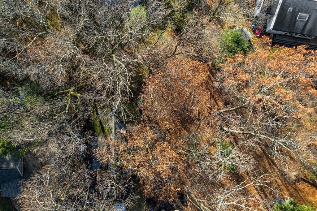 30 Harbell Street, Lexington, MA 02321