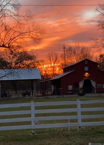 7850 Droze Rd, Greenwell Springs, LA 70739