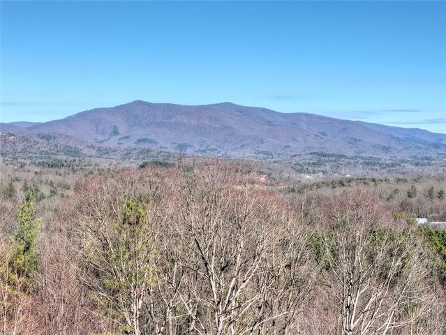 100 Foxpaw Leaf Court, Ellijay, GA 30536