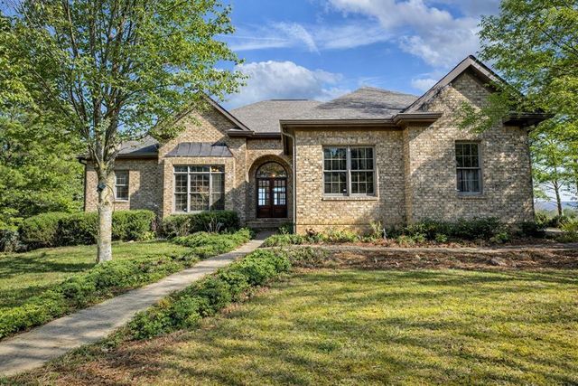 100 Foxpaw Leaf Court, Ellijay, GA 30536