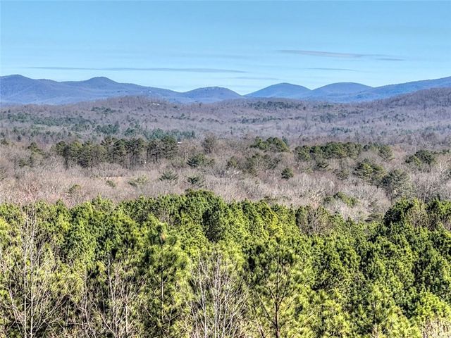 100 Foxpaw Leaf Court, Ellijay, GA 30536