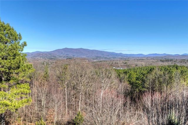 100 Foxpaw Leaf Court, Ellijay, GA 30536