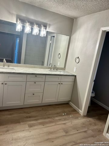 8338 New World, San Antonio, TX 78239