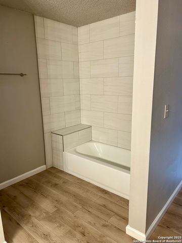 8338 New World, San Antonio, TX 78239