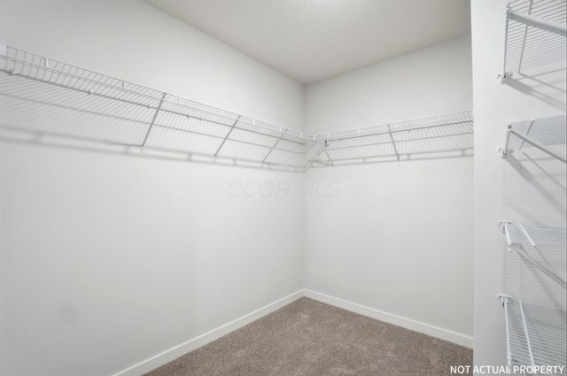5873 Scarlet Birch Drive, Canal Winchester, OH 43110