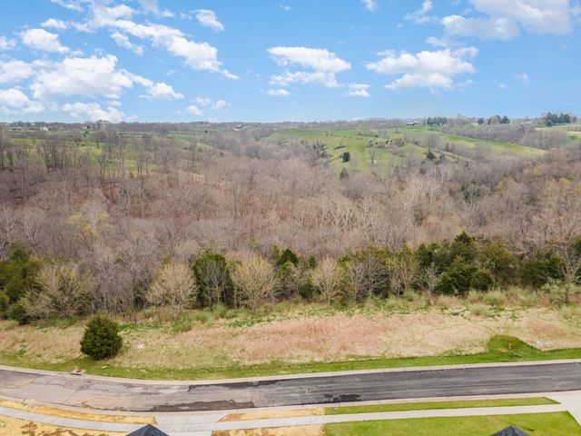 Lot 29 Saddlebrook Lane, Dry Ridge, KY 41035