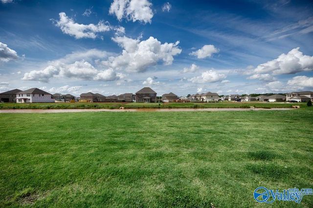 111 Old Dirt Road, Meridianville, AL 35759