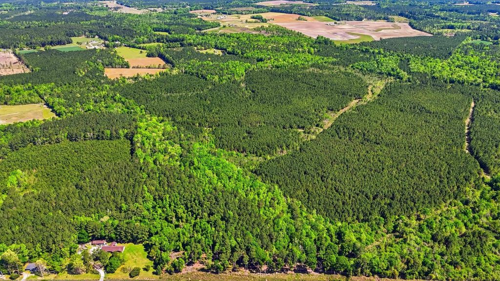 TBD Highway 9, Loris, SC 29569 — photo 2
