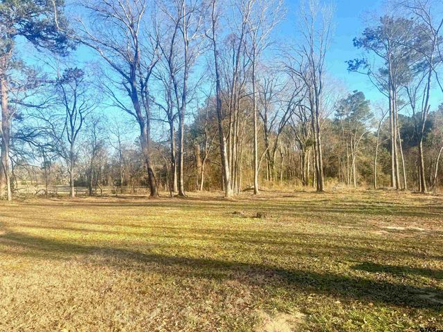 16224 US Hwy 79 E, Jacksonville, TX 75766