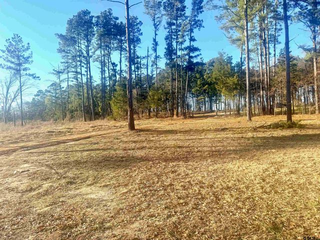 16224 US Hwy 79 E, Jacksonville, TX 75766