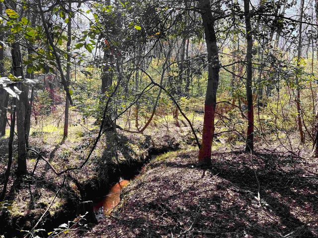 16224 US Hwy 79 E, Jacksonville, TX 75766