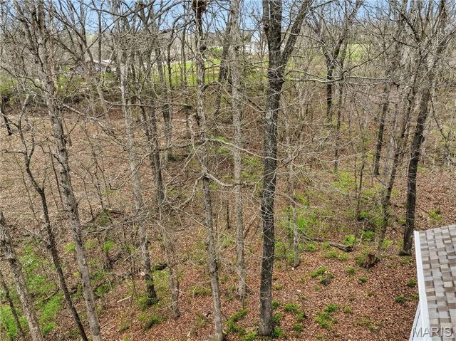 2245 Meadow Forest Drive, Pacific, MO 63069