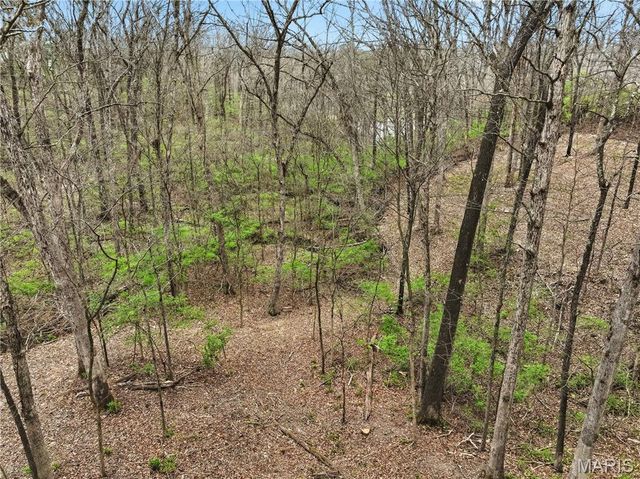 2245 Meadow Forest Drive, Pacific, MO 63069