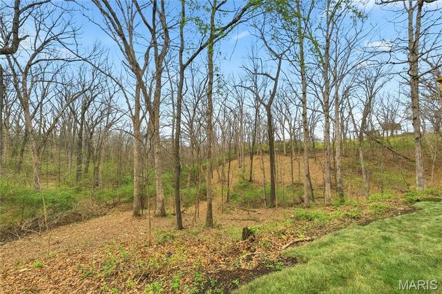 2245 Meadow Forest Drive, Pacific, MO 63069