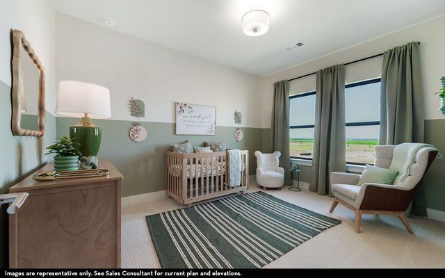 16301 Flatlands Way, Celina, TX 75009