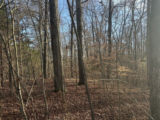 0 Arnold Thomas Rd, Silver Point, TN 38582