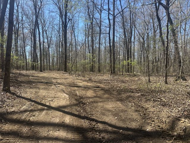 0 Arnold Thomas Rd, Silver Point, TN 38582