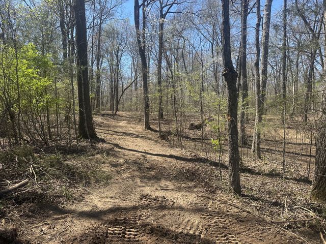 0 Arnold Thomas Rd, Silver Point, TN 38582