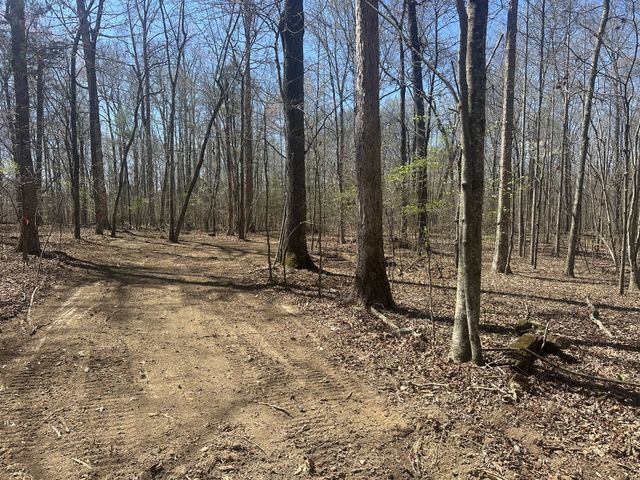 0 Arnold Thomas Rd, Silver Point, TN 38582