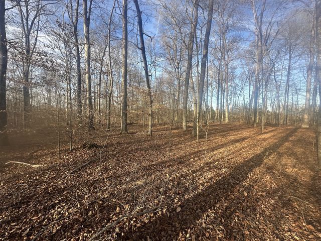 0 Arnold Thomas Rd, Silver Point, TN 38582