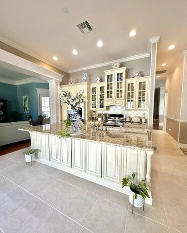 539 DOWLING CIRCLE, Lady Lake, FL 32159