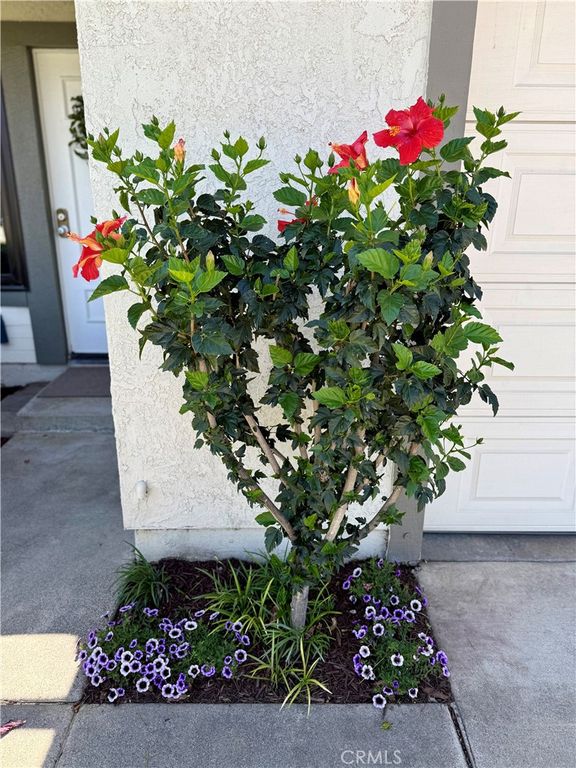 Image 3 of property listing at 9042 Chaucer Circle, Riverside, CA 92503