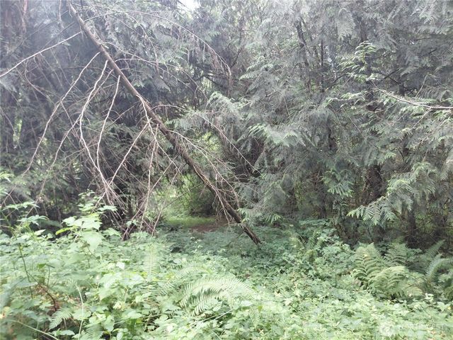 134 St Lawrence Drive, Onalaska, WA 98570