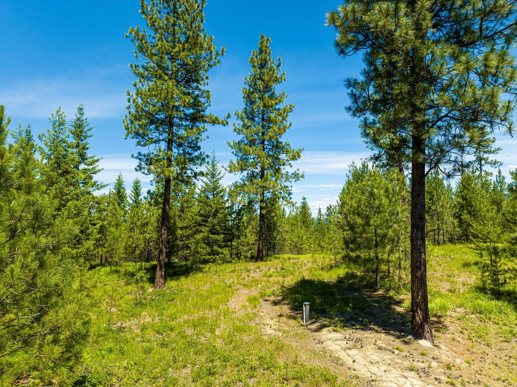 40149 US Highway 2 W, Libby, MT 59923 photo 116