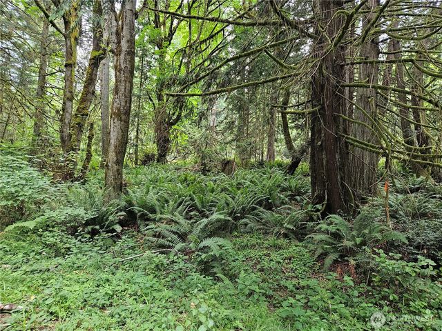 1 NSN Smith Lane, Quilcene, WA 98376