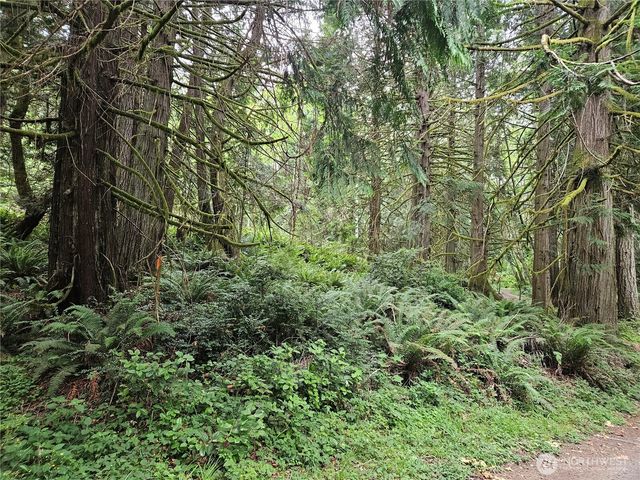 1 NSN Smith Lane, Quilcene, WA 98376
