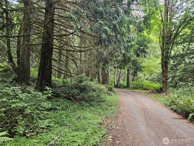 1 NSN Smith Lane, Quilcene, WA 98376