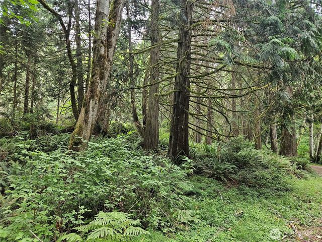 1 NSN Smith Lane, Quilcene, WA 98376