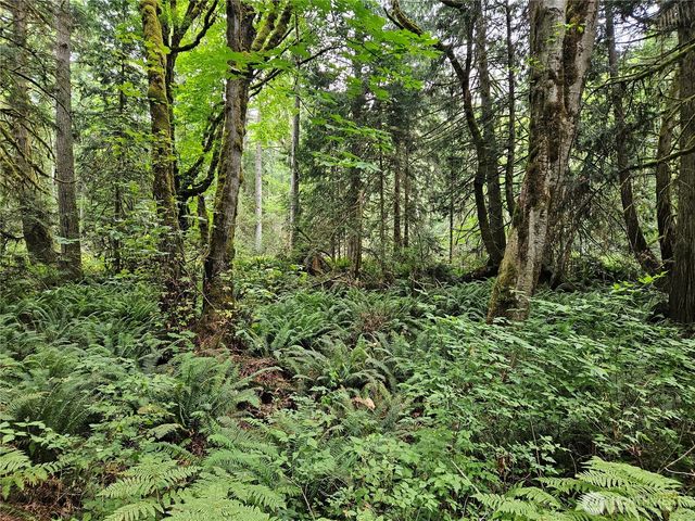 1 NSN Smith Lane, Quilcene, WA 98376