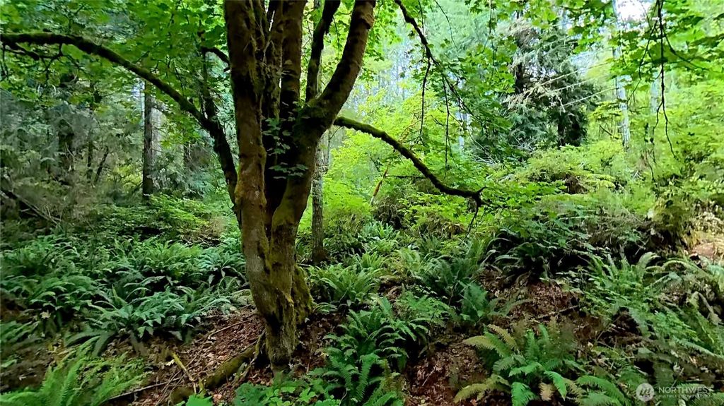 1 NSN Smith Lane, Quilcene, WA 98376