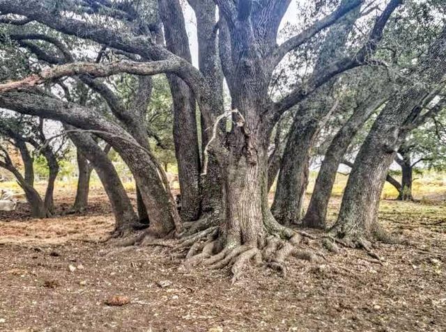 387 Black Watch LN, Lockhart, TX 78644