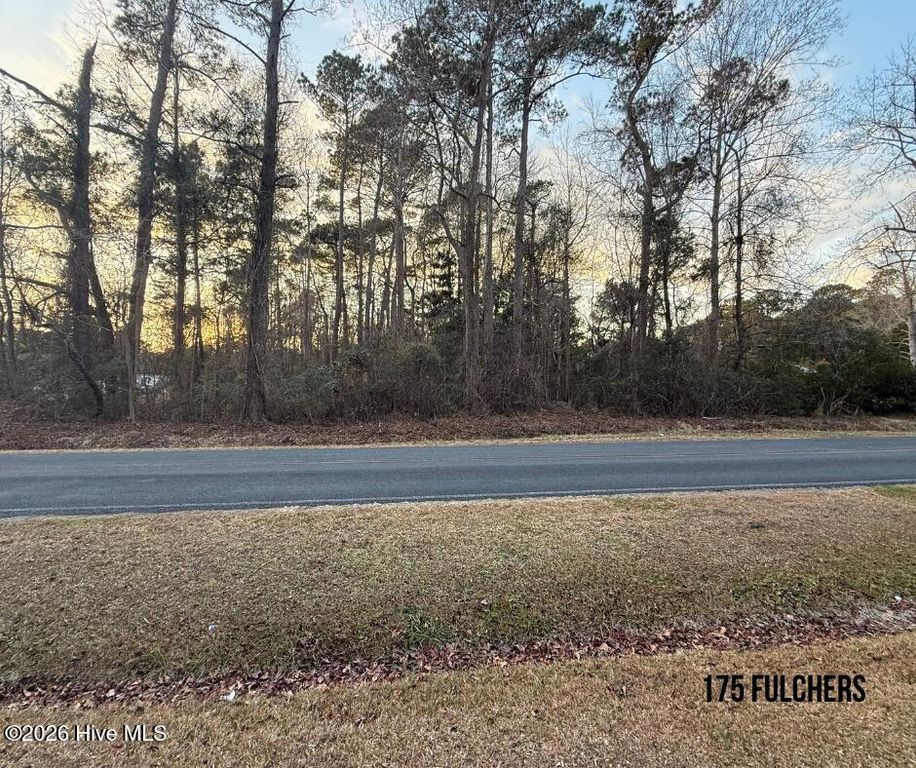 175 Fulcher Landing Road, Sneads Ferry, NC 28460