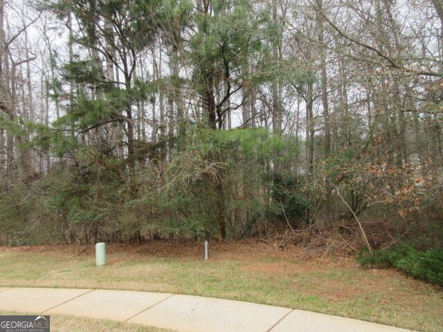 710 Donner Court, Mcdonough, GA 30252