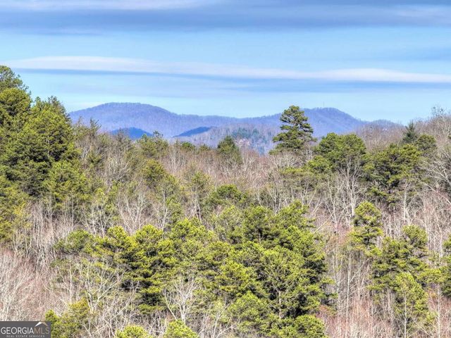 315 River Retreat Road 9, Blue Ridge, GA 30513