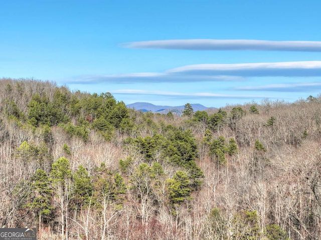 315 River Retreat Road 9, Blue Ridge, GA 30513
